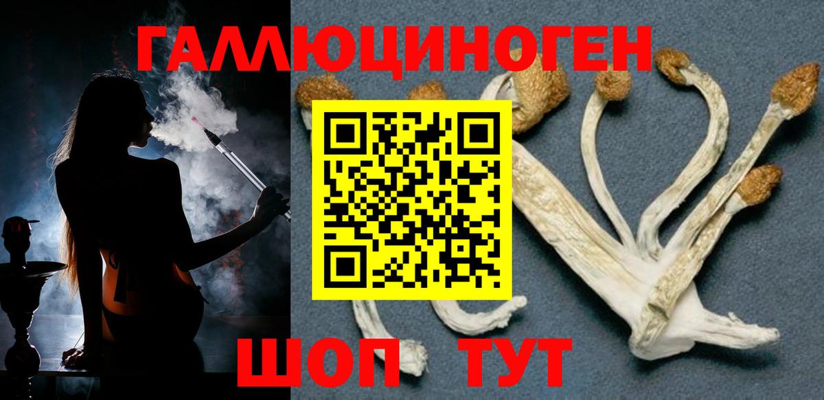 Галлюциногенные грибы Cubensis Борзя